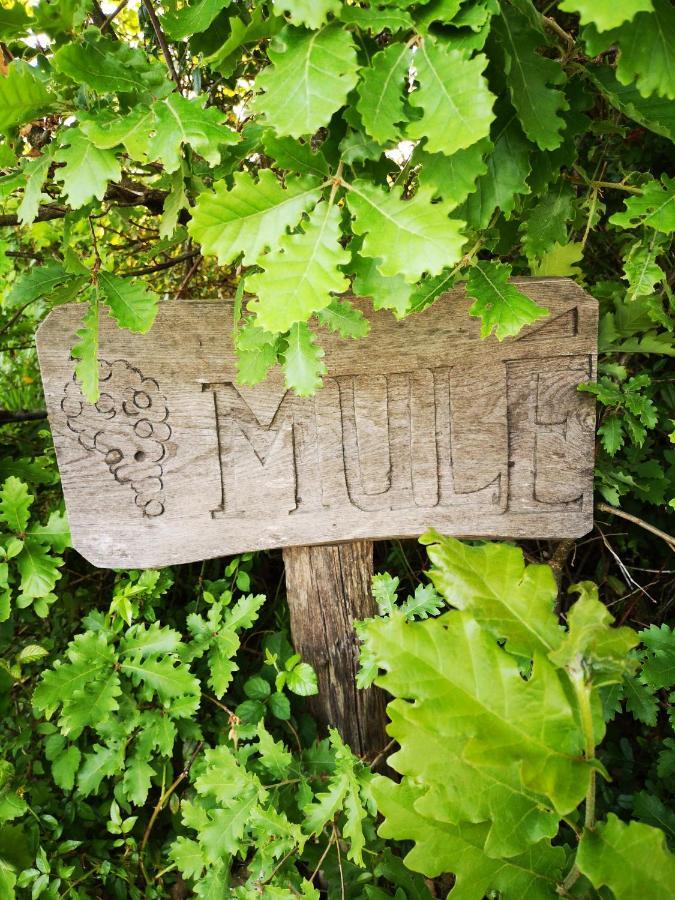Lagardere Mule Bed & Breakfast エクステリア 写真